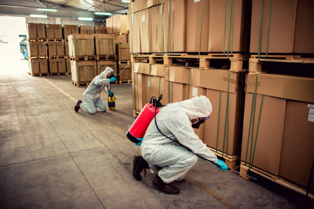 Best Commercial Pest Control Services  in White Mountain Lake, AZ