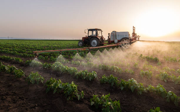Best Pest Removal Services  in White Mountain Lake, AZ