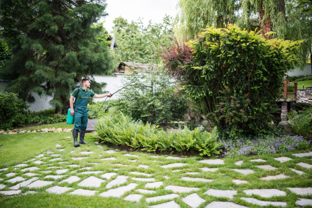 Best Best Pest Control Companies  in White Mountain Lake, AZ