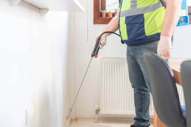 Best Best Pest Control Companies  in White Mountain Lake, AZ