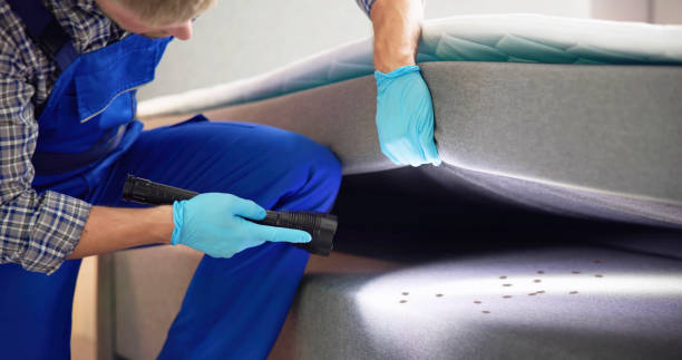 Best Pest Prevention Services  in White Mountain Lake, AZ