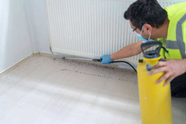 Best Exterminator Services  in White Mountain Lake, AZ